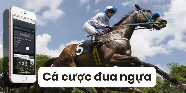 Cá Cược Đua Ngựa BetVision Bí Kíp Từ Các Chuyên Gia Hàng Đầu